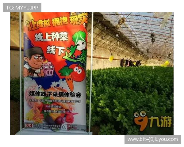 购买九游平台虚拟商品的注意事项与安全提示